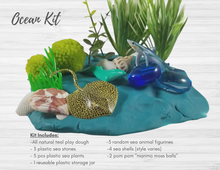 Load image into Gallery viewer, Sensory kit and Book Gift Set